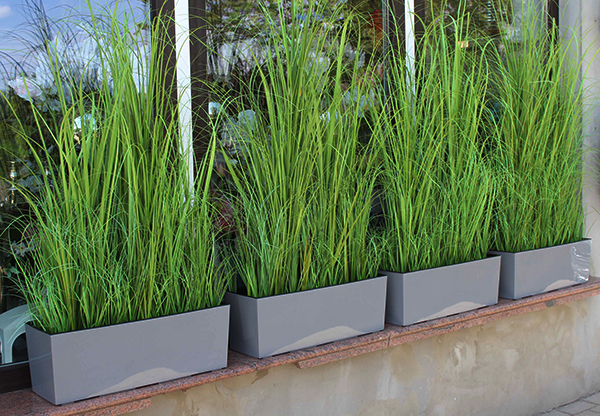 kompozycja traw w szarej donicy Greta, wys. 110cm