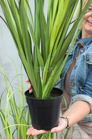 sztuczna trawa niska Moris, wys. 70cm 