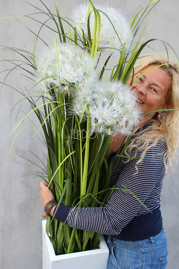 kompozycja w białej donicy z trawami i dmuchawcami Simple, wym.115cm