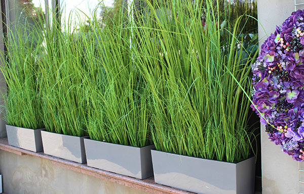 kompozycja traw w szarej donicy Greta, wys. 110cm