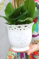 Palomina Ażur kremowy storczyk w ażurowej donicy, wys.52cm