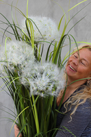 kompozycja w białej donicy z trawami i dmuchawcami Simple, wym.115cm