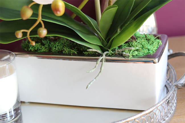 Banerra White&Silver Pure, storczyk w minimalistycznej donicy, wys.47cm 