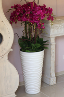 Gizelle Grande 2, wysoki sztuczny storczyk w kolorze fuksji, wys.135cm