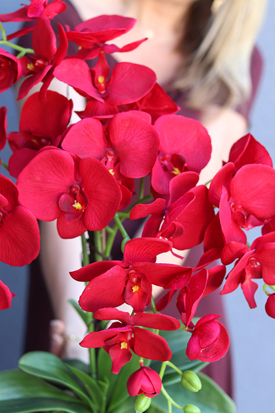 Karminowa Delicja, sztuczny storczyk w czarnej donicy, wys.60cm