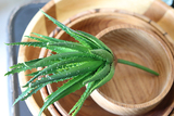 gumowa sztuczna roślina, Sukulent Aloes 74, wym.30cm