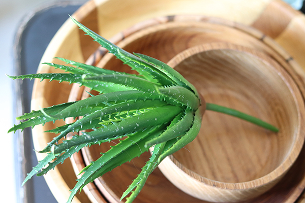 gumowa sztuczna roślina, Sukulent Aloes 74, wym.30cm