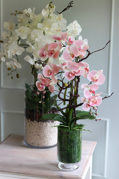 Glassier Pollysa, różowy storczyk w szklanym pucharze, wys.80cm