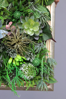 atrakcyjna jednostronna rama Sorella Sukulenty, wym.74x54cm