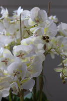 ekskluzywny storczyk w stalowej donicy, Moderno Mirror Cube, większy, wys.92cm