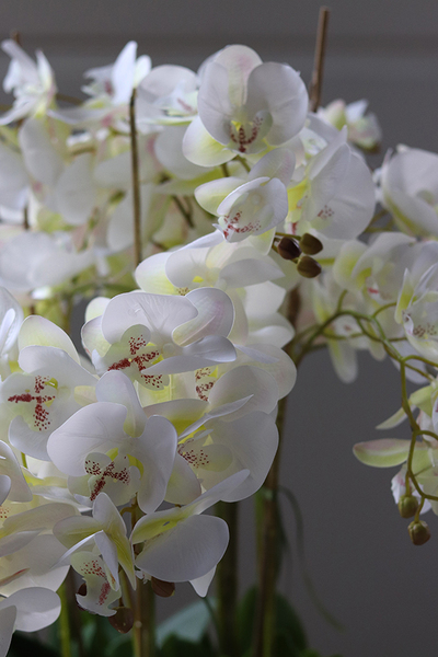 ekskluzywny storczyk w stalowej donicy, Moderno Mirror Cube, większy, wys.92cm