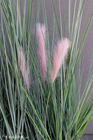 sztuczne trawy w betonowej donicy, Veronique Concrete, wys.135cm 