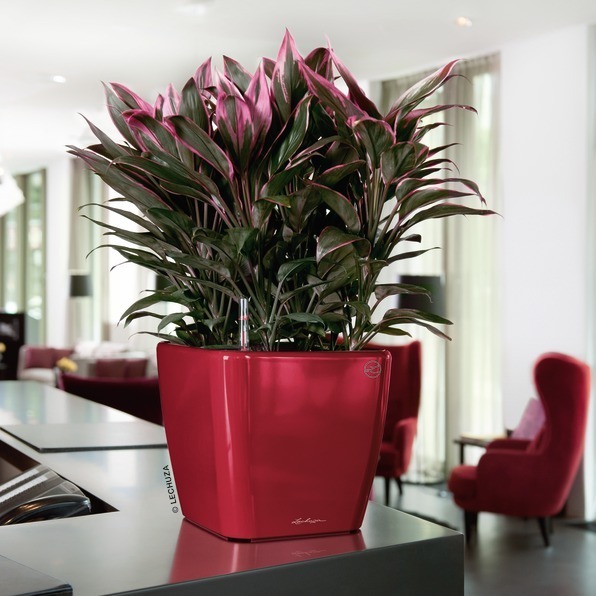 Quadro, elegancka donica z nawadnianiem, czerwona, wym.26x28cm