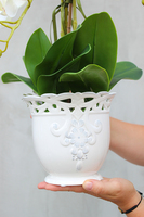 Palomina Ażur kremowy storczyk w ażurowej donicy, wys.52cm