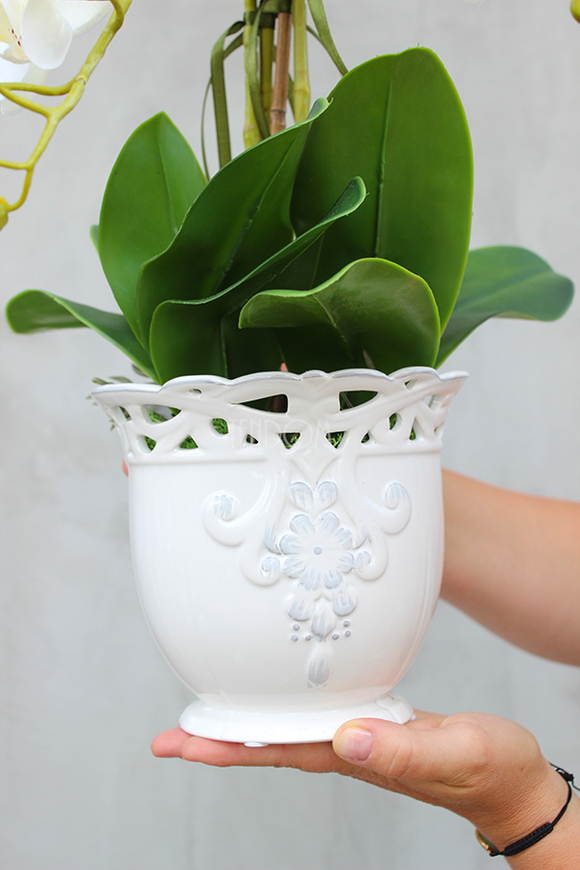 Palomina Ażur kremowy storczyk w ażurowej donicy, wys.52cm