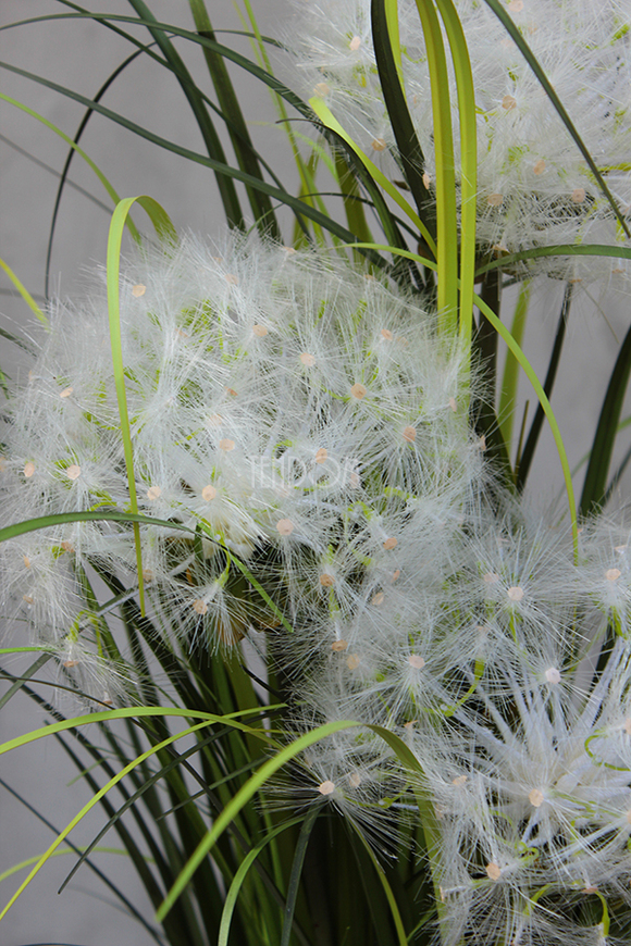 kompozycja w białej donicy z trawami i dmuchawcami Simple, wym.115cm