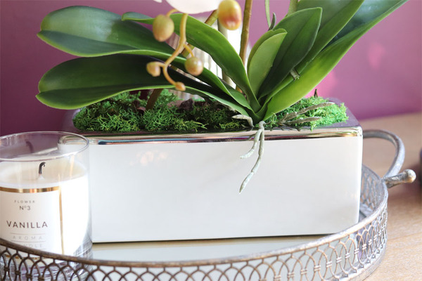 Banerra White&Silver Pure, storczyk w minimalistycznej donicy, wys.47cm 