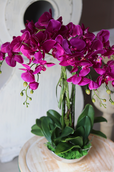 Fuksja Silver Bowl, sztuczny storczyk w metalowej misie, wys.64cm