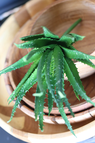 gumowa sztuczna roślina, Sukulent Aloes 74, wym.30cm