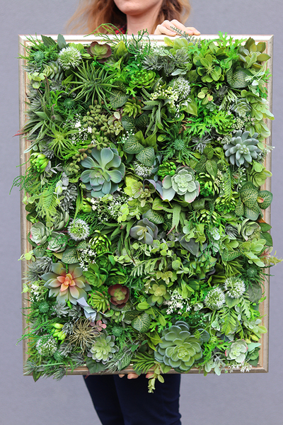 atrakcyjna jednostronna rama Sorella Sukulenty, wym.74x54cm