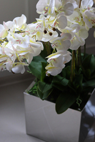 ekskluzywny storczyk w stalowej donicy, Moderno Mirror Cube, większy, wys.92cm