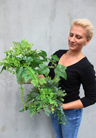 komplet 2 kompozycji w betonowych donicach z sukulentami Renno, wys.30cm