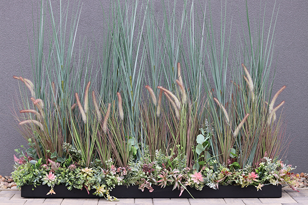 Albertina Saute, kompozycja z traw i sukulentów w gąbce florystycznej, dł.1m, wys.135cm