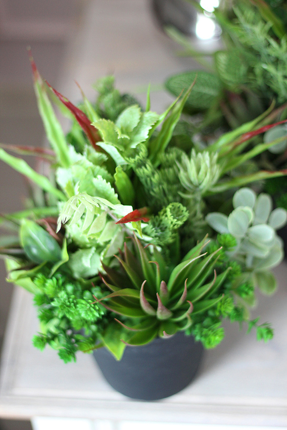 Granello, atrakcyjna kompozycja z sukulentów, wys.34cm