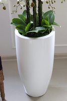 Grande Fiberglass Fenice, efektowny storczyk w białej donicy z fiberglass, wys.118cm