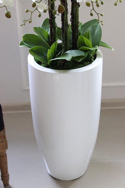 Grande Fiberglass Fenice, efektowny storczyk w białej donicy z fiberglass, wys.118cm