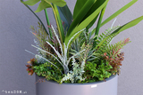 egzotyczna kompozycja w szarej donicy, Strelicja Fiberglass Grande Green, wym.162cm 