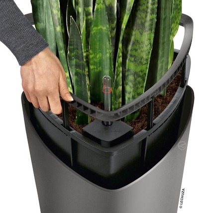 Delta Premium, elegancka donica z nawadnianiem, antracyt, wys.75cm