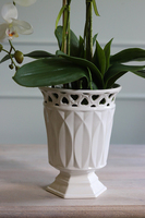 Azura Tall, wysoki storczyk w porcelanowym pucharze, wys.84cm