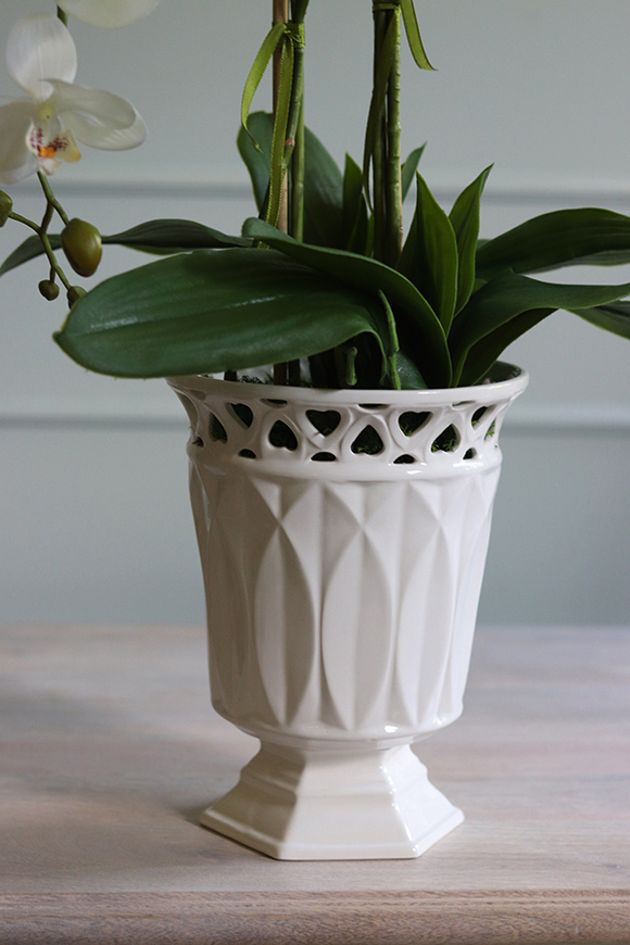 Azura Tall, wysoki storczyk w porcelanowym pucharze, wys.84cm