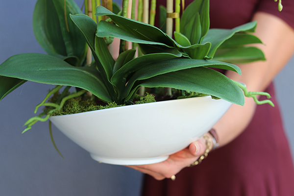 bogaty storczyk w ceramicznej misie, Fuksja Pollena, wys.65cm