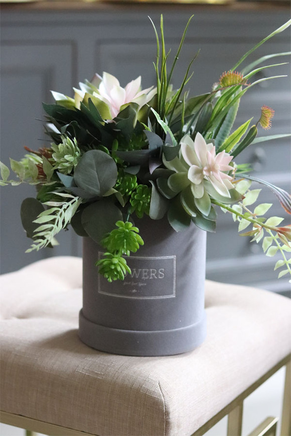 Albertina, welurowy flowerbox z sukulentami, wys.41cm