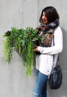 Anya 4, piękna kompozycja Sukulenty, w lustrzanej donicy, wys.30cm