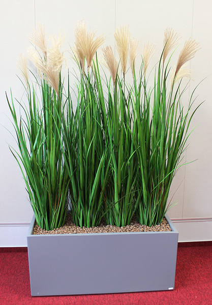 Mamore Grande, wieczne trawy w szarej donicy fiberglass, wym.175cm