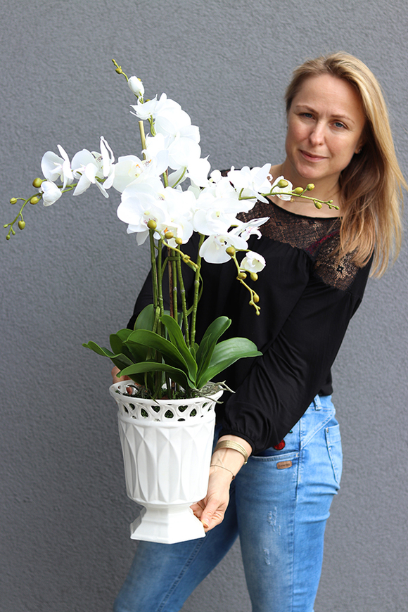 Miresa, storczyk w białej koronkowej donicy, wys.80cm