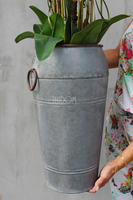 bardzo duży storczyk Sara w metalowej donicy wys.114cm