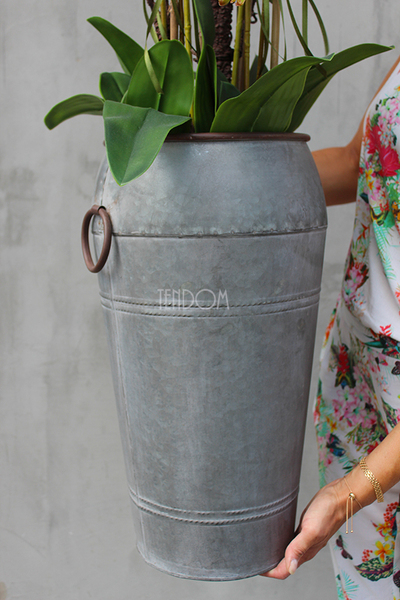 bardzo duży storczyk Sara w metalowej donicy wys.114cm