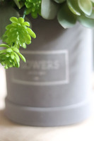 Albertina, welurowy flowerbox z sukulentami, wys.41cm