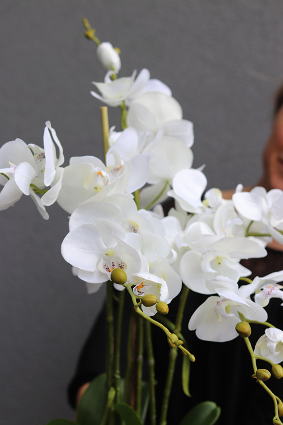 Miresa, storczyk w białej koronkowej donicy, wys.80cm