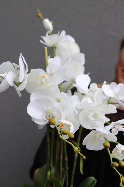 Miresa, storczyk w białej koronkowej donicy, wys.80cm