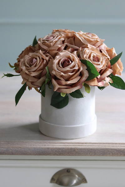 biały welurowy flowerbox z różami, Cappucina Velvet, wys.22cm