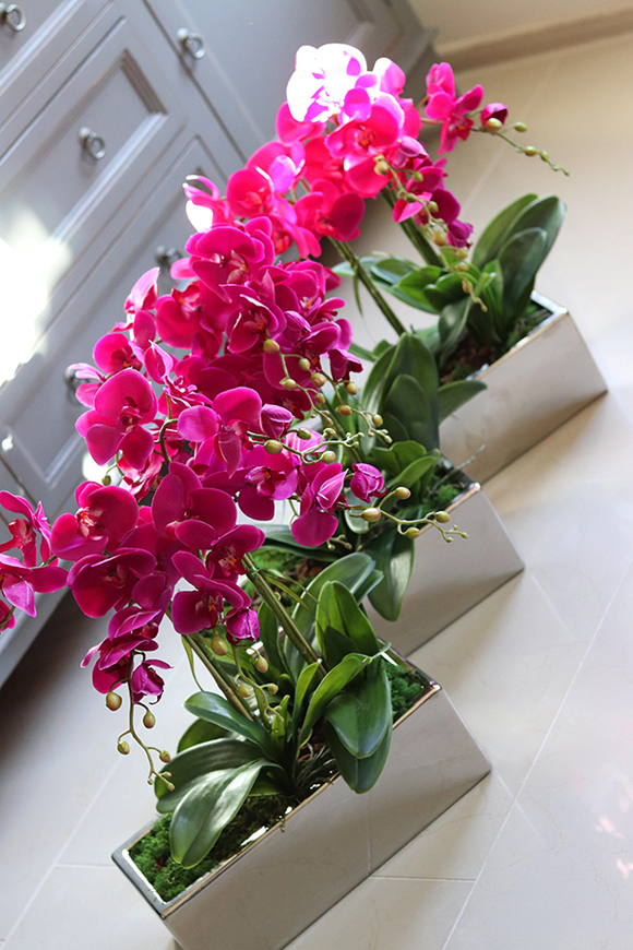 obfity storczyk Infinity w minimalistycznej donicy, wys.70cm