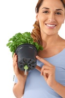 Balconissima, elegancka donica z nawadnianiem i uchwytami, piaskowy brąz, dł.40cm