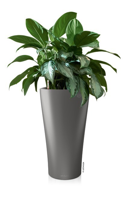 Delta Premium, elegancka donica z nawadnianiem, antracyt, wys.75cm