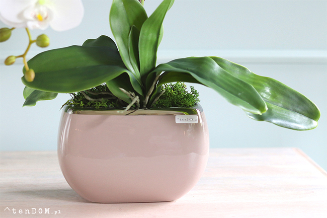 Glamour Beige 2, gumowy storczyk w beżowej donicy, wys.53cm 