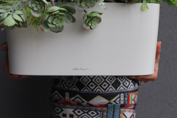 Gera Delta, kompozycja z traw i sukulentów w eleganckiej donicy, wym.57x60cm